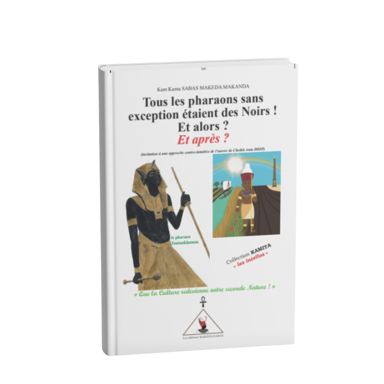 Tous les pharaons sans exception étaient des Noirs ! Et alors ? Et après ?